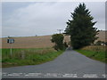 Minor road towards Cotburn