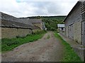 Track between farm buildings, Leinthall Starkes