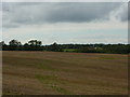 Stubble fields near Stanningfield