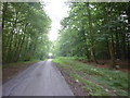 Heading through Croxby Pond Plantation