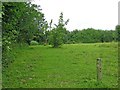 Public footpath across field in Eymore Wood