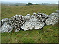 G8584 : Wall at Tullytrasna by louise price