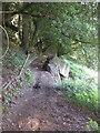 Footpath north on the edge of Perlieu Wood