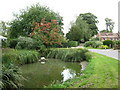 Duck pond and duck house