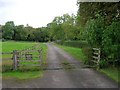 Entrance drive to Bishop