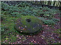 Another unfinished millstone in Bracken Wood, Ilkley