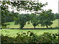 Field view from Bunch Lane, Haslemere