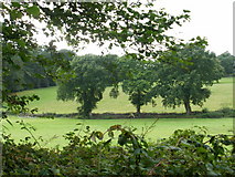 SU9034 : Field view from Bunch Lane, Haslemere by Peter S