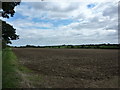 Arable fields south of Lavenham