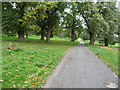 Footpath and roadway on the Burwarton estate