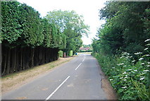 TQ0545 : August Lane, Farley Green by N Chadwick