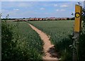 Public footpath across the fields