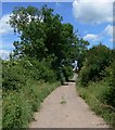 Track on the edge of Woodthorpe