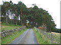 Minor road towards Boghead