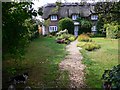 Cat and cottage in Up Somborne