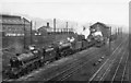 Balornock (St Rollox) Locomotive Depot: engines queueing at the coaling plant