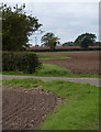 Fields near the corner of Beckingham Wood