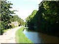 Walking along the Leeds to Liverpool Canal #229