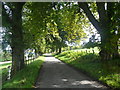 Driveway to Fairburn House