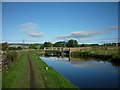 Walking along the Leeds to Liverpool Canal #245