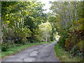 Minor road, Muir of Fairburn