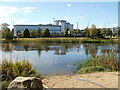 Small lake, Celtic Springs, Coedkernew