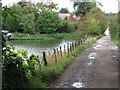 Wingerworth - Central Drive and Wall Pond