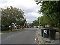 Salisbury Road - viewed from Salisbury Terrace