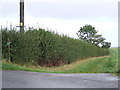 Public bridleway, Framlingham