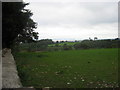 Grazing field in Lower Failand