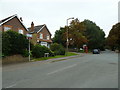 Lamppost in Walton Lane