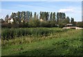 Drainage channel by Trout Lane