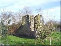 TM4163 : Buxlow St Peter’s ruin by Adrian S Pye