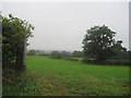 Fields south of Rhiston