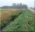 Marsh Lane Drain