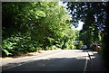 Hindhead Rd (A287)