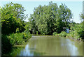 The Ashby Canal approaching Hinckley, Leicestershire