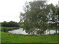 Pond at Oakham Farm