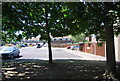 Thackeray Rd through the trees