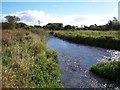 Afon Rhyd-hir below the footpath bridge