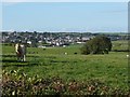 A view of Maybole