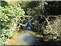 Overgrown section of the canalised River Ouse