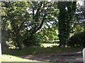 Woodland at the western outskirts of Sarn