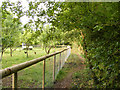 Footpath towards Redisham at Paradise Farm