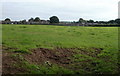 Field between Usk Road and the SW edge of Raglan