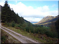 NN1368 : Forestry road, Glen Nevis by Karl and Ali