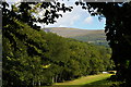 Glanusk estate: looking northeastwards from Bridge 125 on the Monmouthshire and Brecon Canal