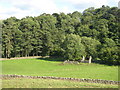 Ruin on a haugh beside Gilderdale Burn