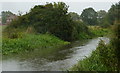 The canal towards Clarborough