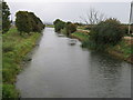 Royal Military Canal - looking eastwards